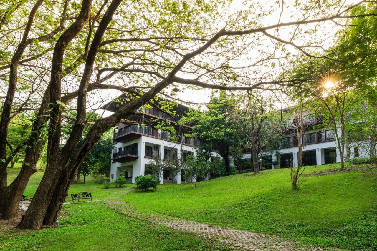 Rain Tree Khao Yai Hotel Pakchong Bagian luar foto